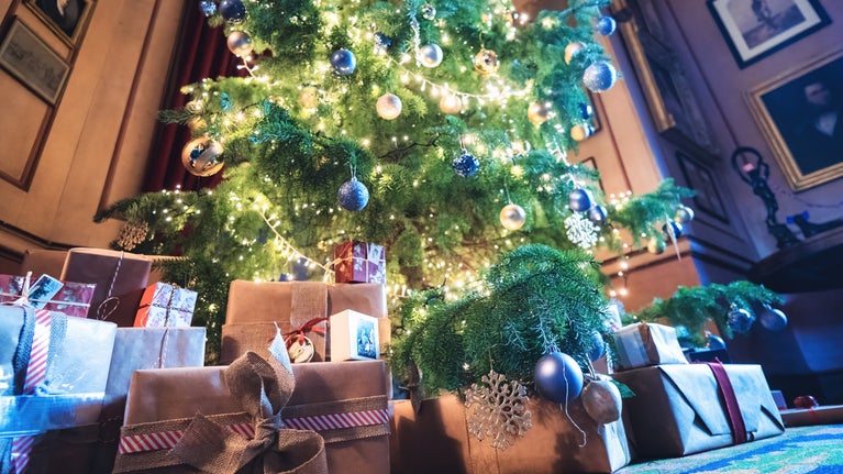 Large Christmas tree decorated with warm white lights and blue and gold baubles, surrounded by wrapped presents in a historic hall with framed portraits on the walls.